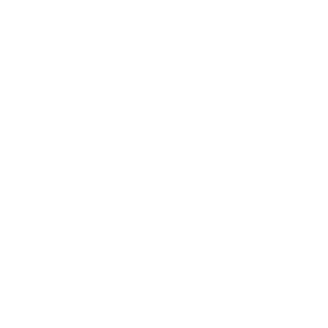 globalpayments